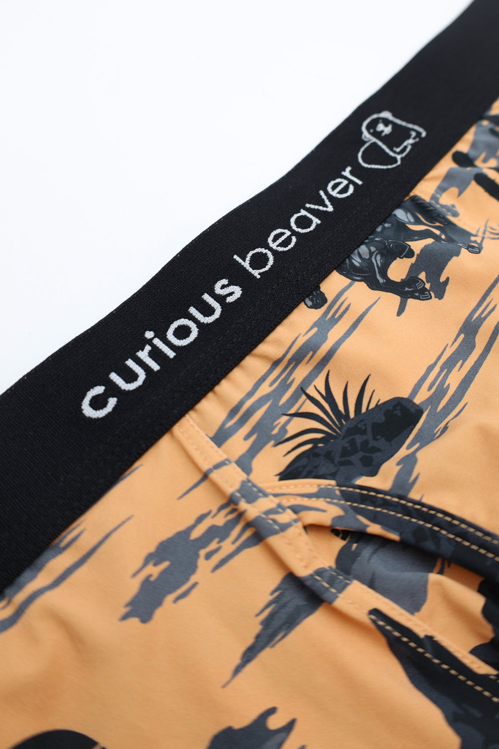 Men's Boxer Briefs - Wild West